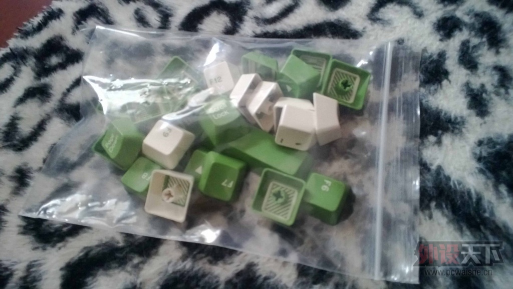 WP_20130619_003.jpg