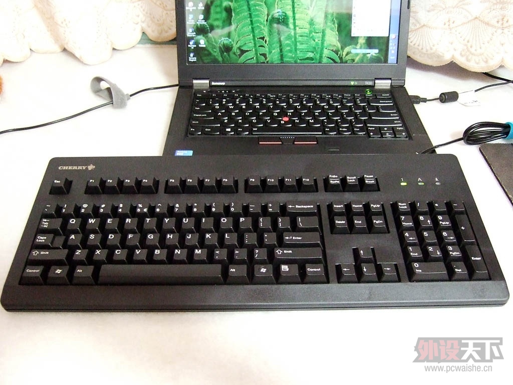 Cherry �ڲ�Ͱ׺��ʹ�ø���