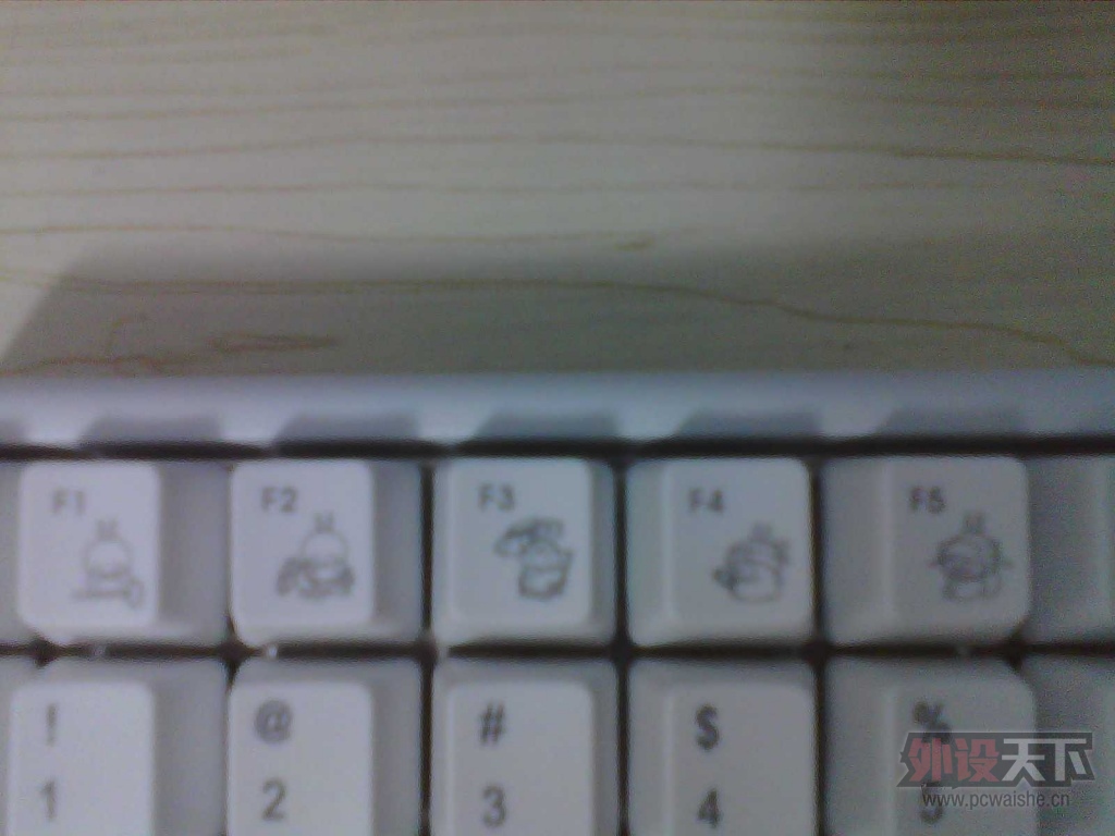 IMG_20130623_052249_0.jpg