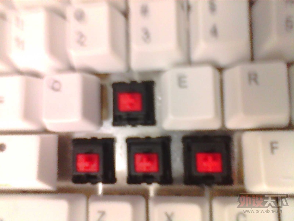 IMG_20130623_052542_0.jpg