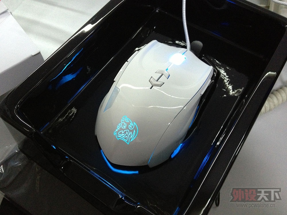 �»����ڣ�Tt eSPORTS ��ɫ���ԡ������ȴ��ڶ�ֻ�����ߡ�����