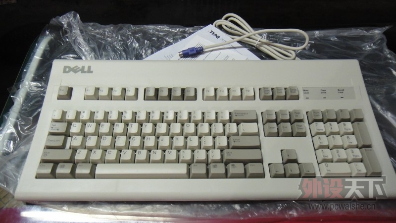 DSC01001.JPG