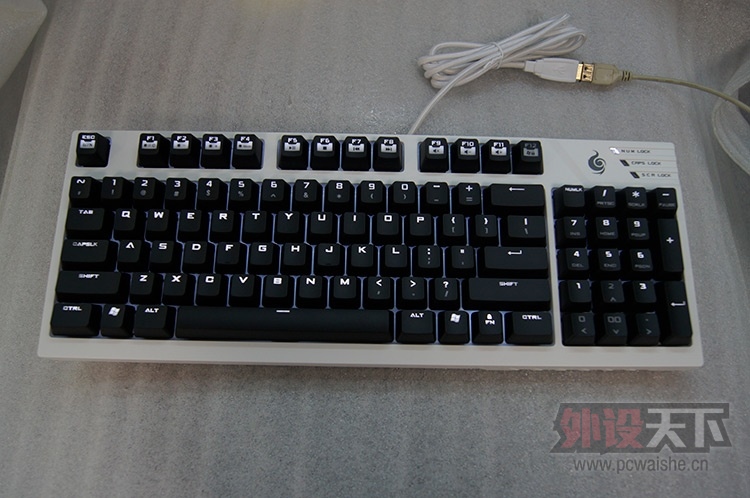���� ��е 92�� �׹�׿���� ȫ��δ���������� ��650Ԫ