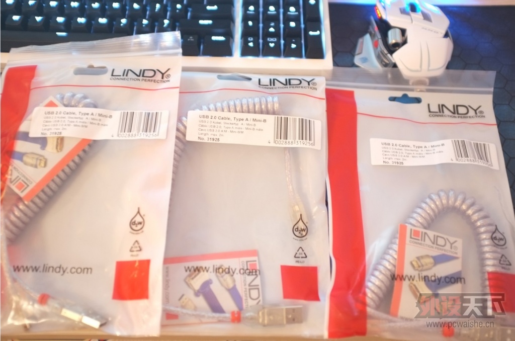 LINDY1.jpg