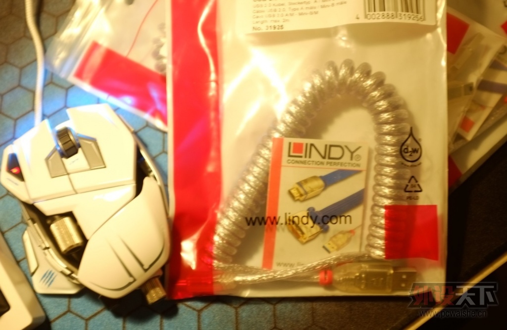 lindy5.jpg