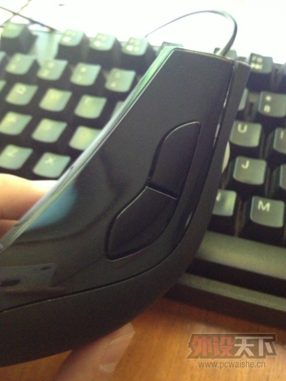 psbCANE5QFB.jpg