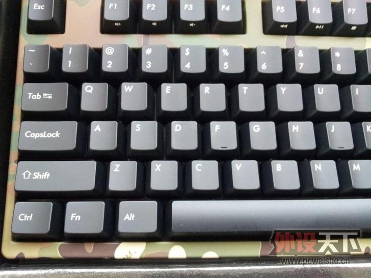 F3.jpg