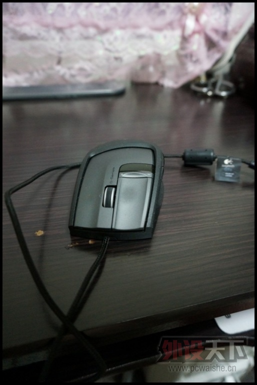 conew_dsc00371.jpg