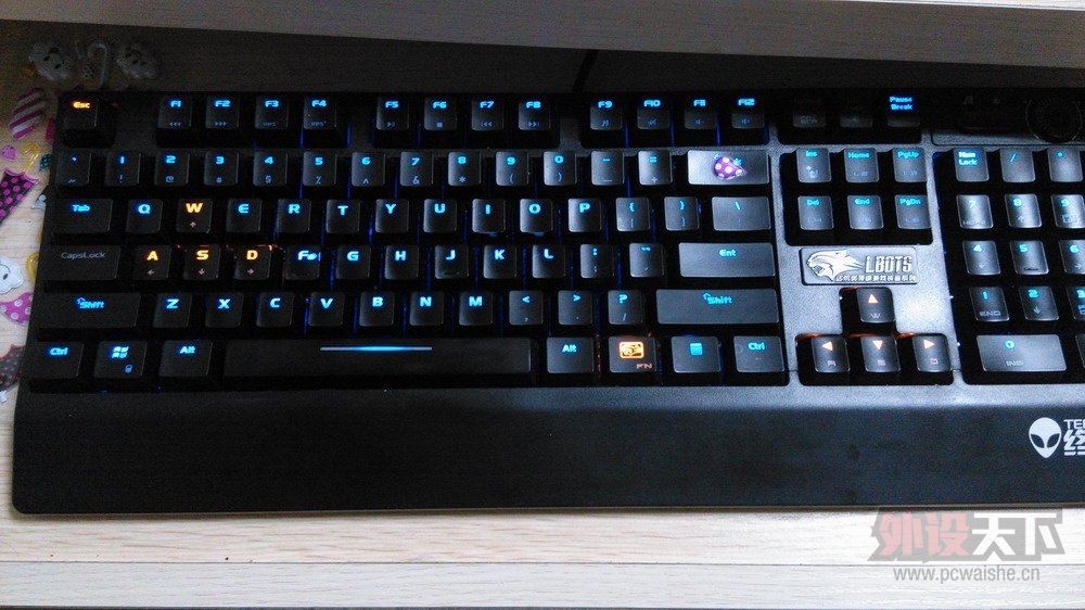 [�㶫]��Ůͬ�³���������칫����