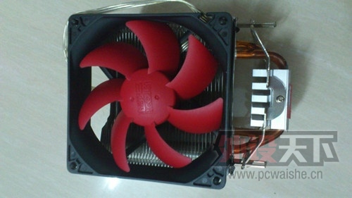 �캣10������
