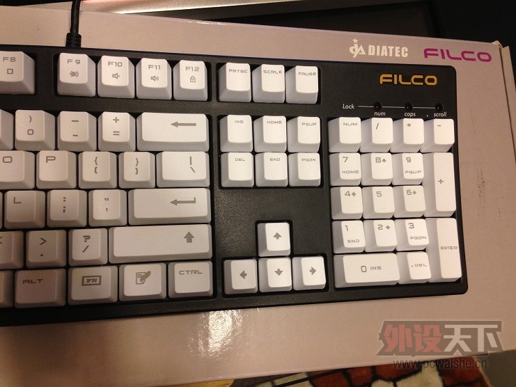 ���Ե���FILCOһ������ɫ����