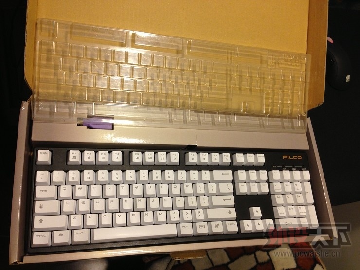 ���Ե���FILCOһ������ɫ����