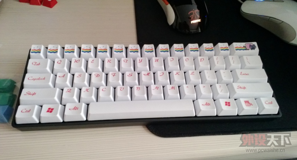 �����ա������ۼ�ñ���������ʺ�è 61�� �Ѹ���