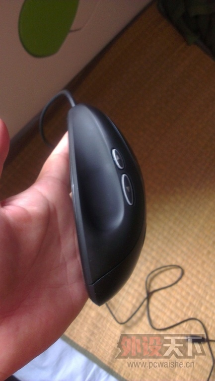 IMAG0135.jpg