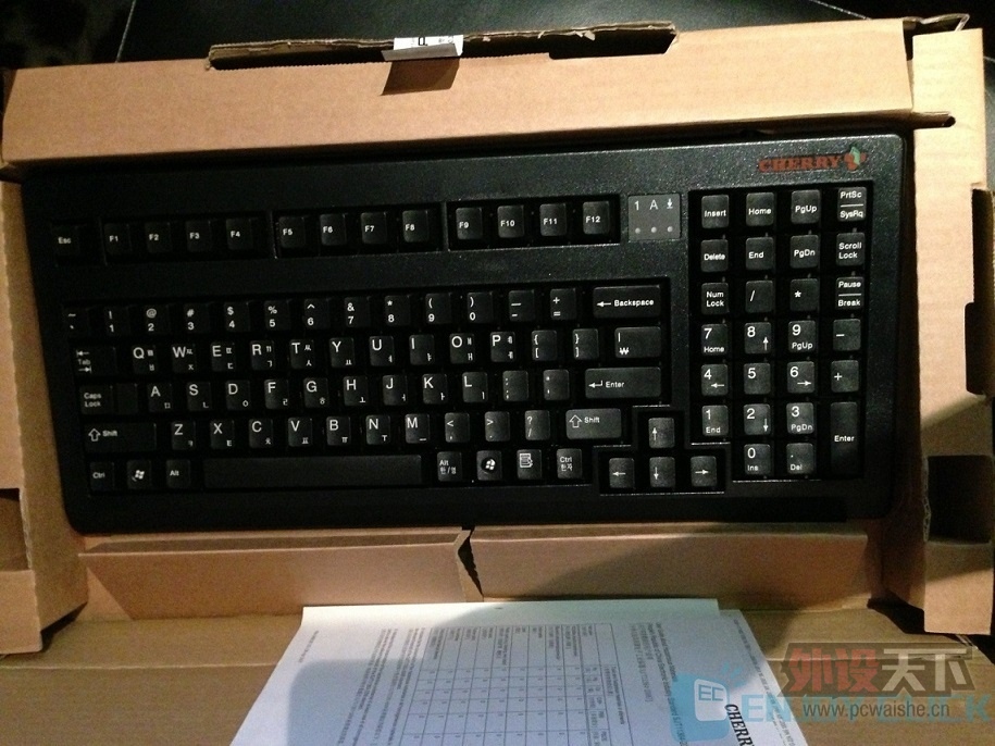 �����ݡ������� ���³� cherry 1865��750| FILCO ����500