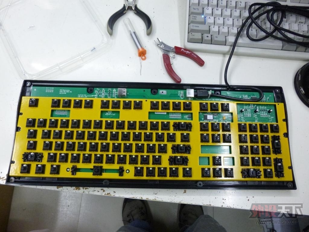 P1000430.JPG