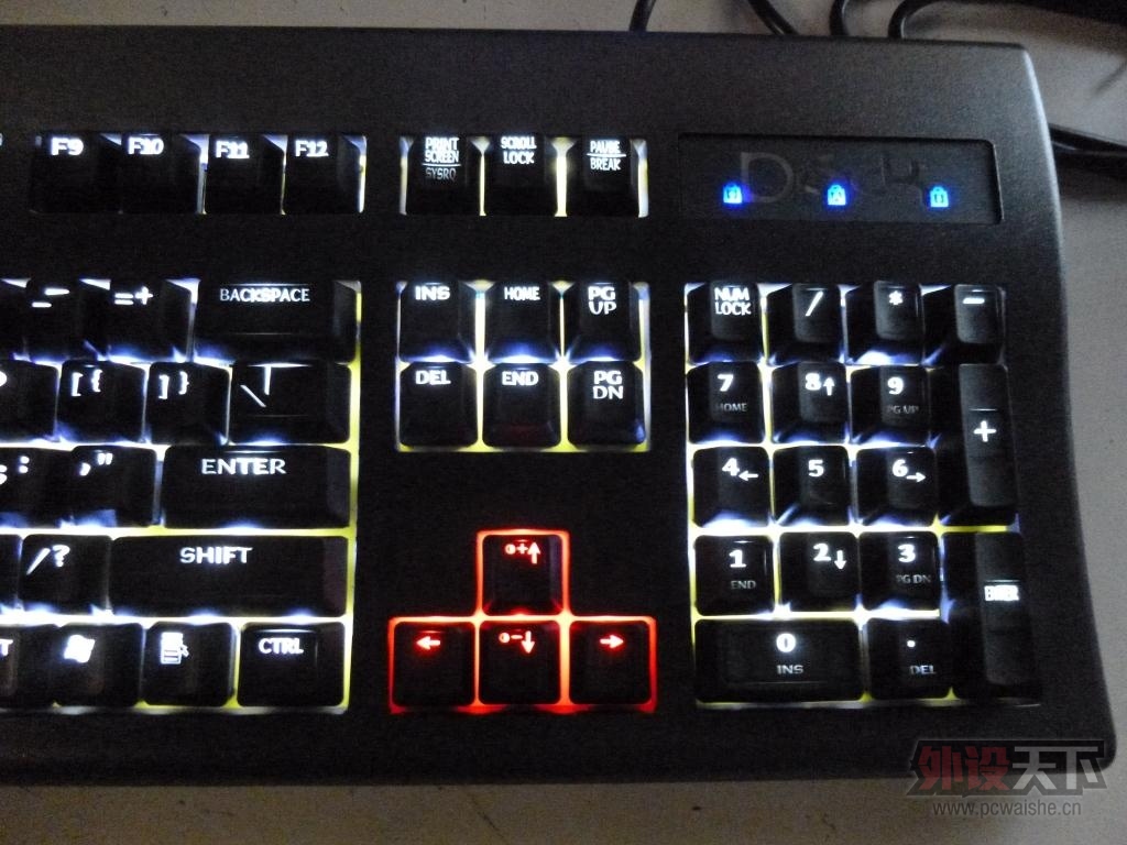 P1000437.JPG
