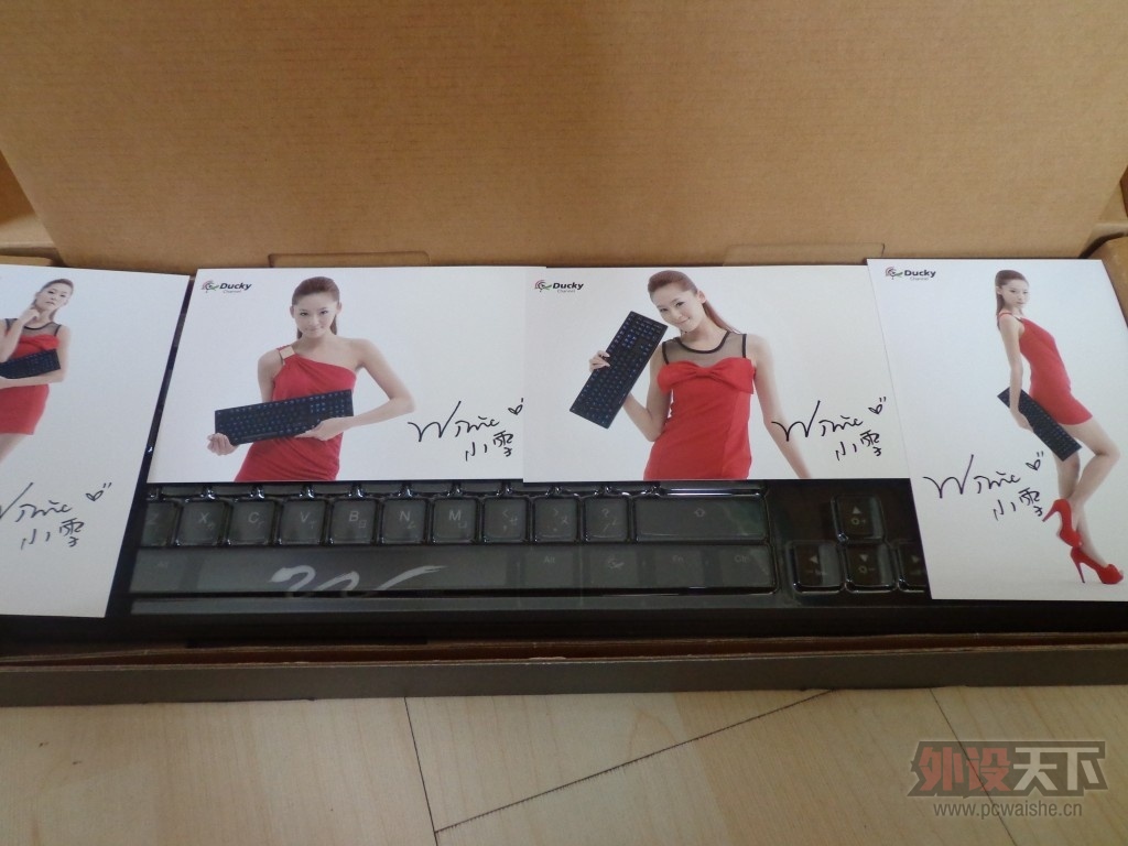 �������³�����δ�ϵ�DUCKY SHINE3��ɫ�������