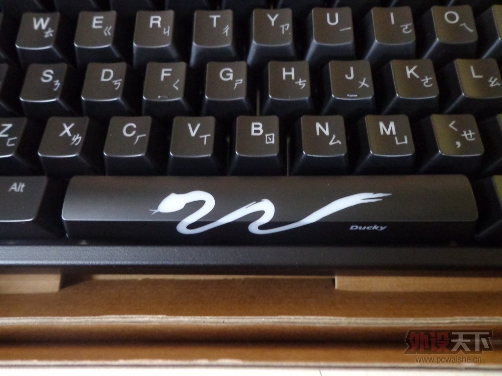 �������³�����δ�ϵ�DUCKY SHINE3��ɫ�������