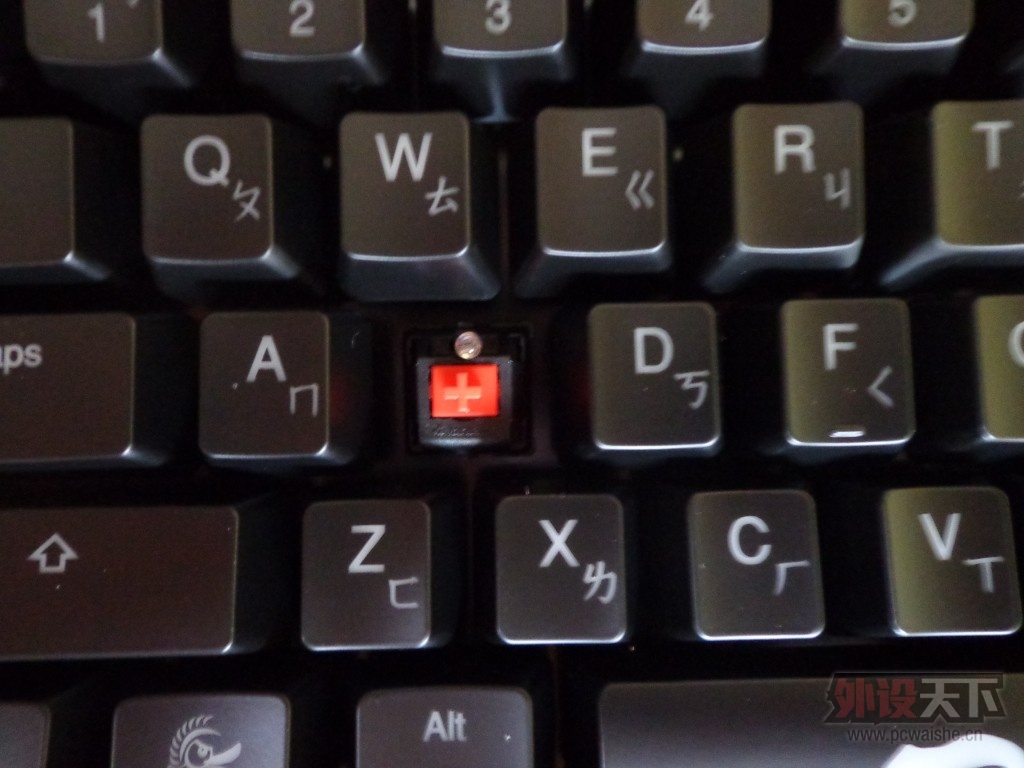 �������³�����δ�ϵ�DUCKY SHINE3��ɫ�������