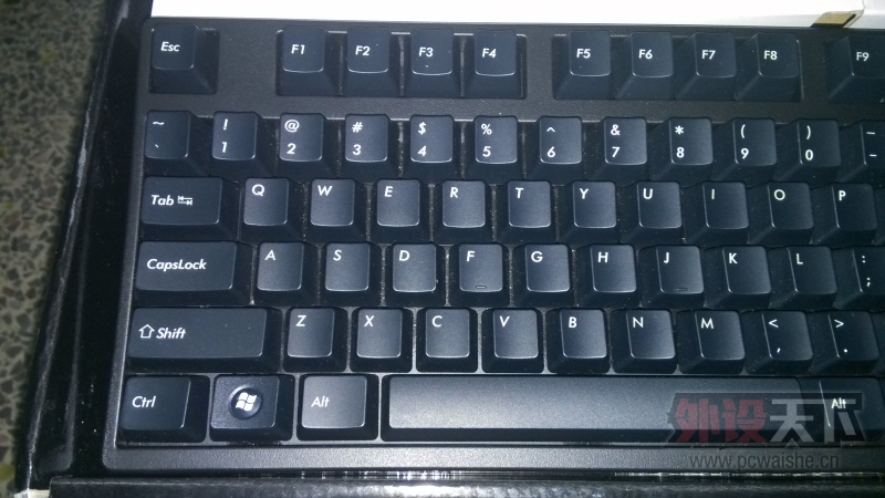 [�㶫] Filco 2�� �ں� ���� 9�� 800˳�ᵽ�����ѳ���