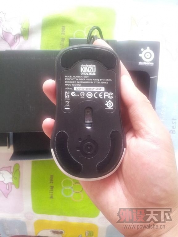 ��9.5�� kinzu v1 ��ɫ