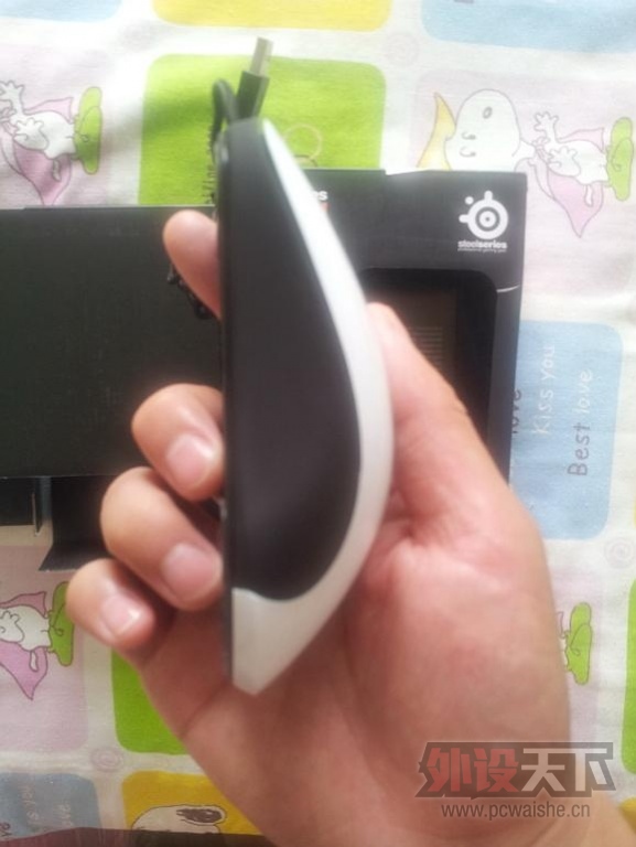 ��9.5�� kinzu v1 ��ɫ