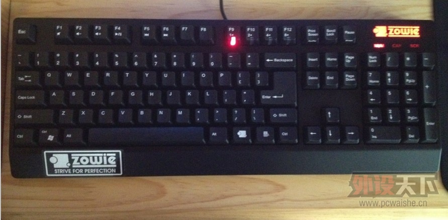 ���� ZOWIEһ��