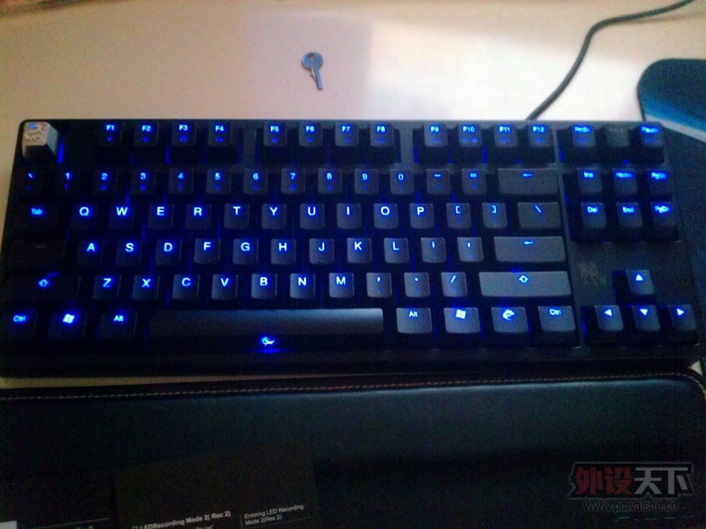���㶫��9����DUCKY����87�������ᣬ800��˳�ᵽ��