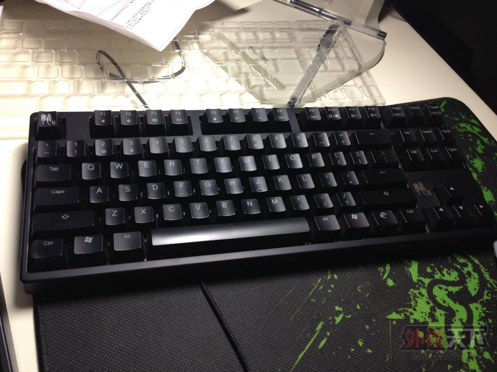 ���㶫��9����DUCKY����87�������ᣬ800��˳�ᵽ��