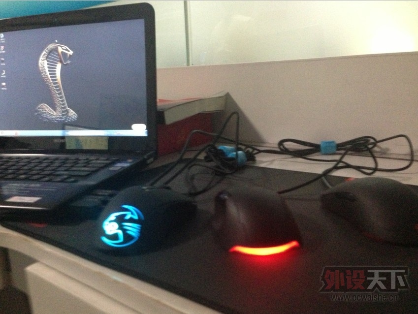 ZOWIE AM ���ֿ��Ը���,��������������!һ���㶨!