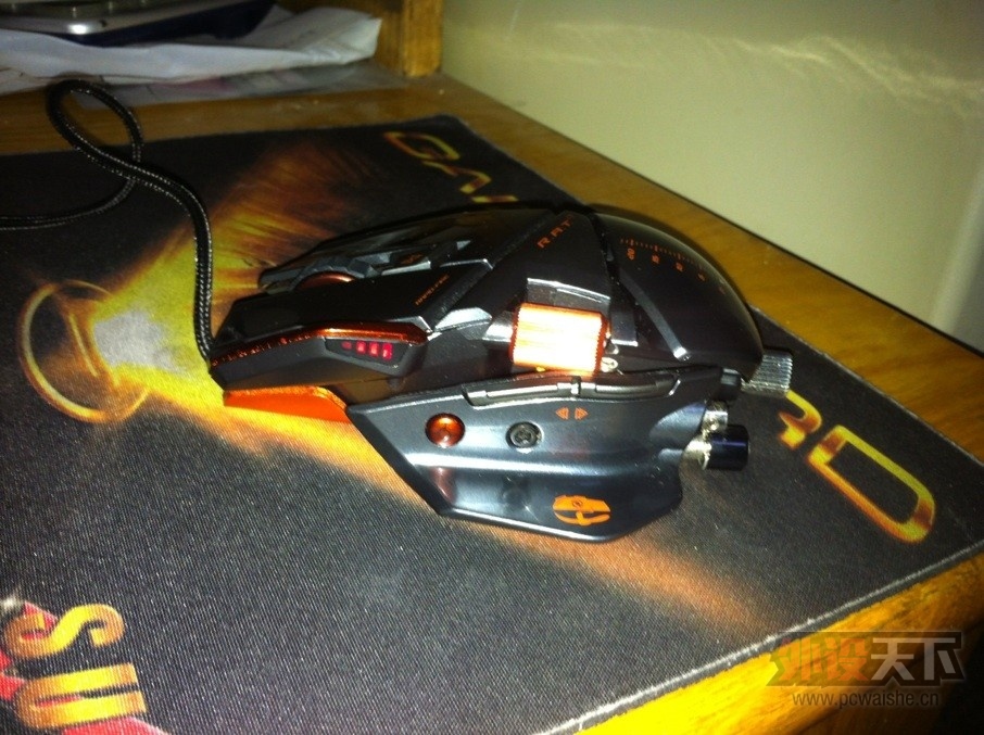 rat7.jpg