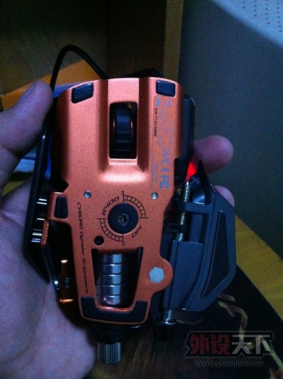 rat72.jpg