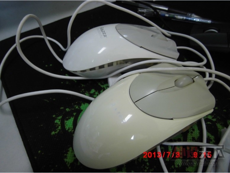 ���Ͼ������߰�ɫ��β�ߣ����ߣ��׳���ӣ��۸�����