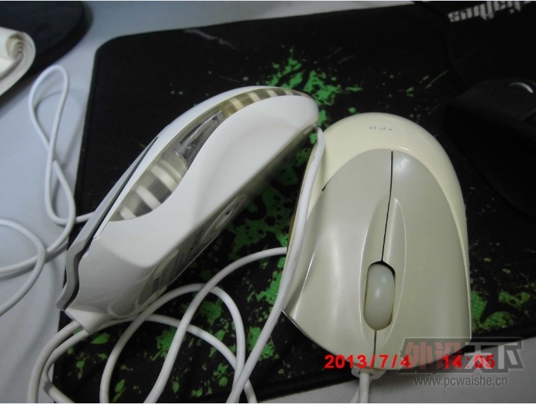 ���Ͼ������߰�ɫ��β�ߣ����ߣ��׳���ӣ��۸�����