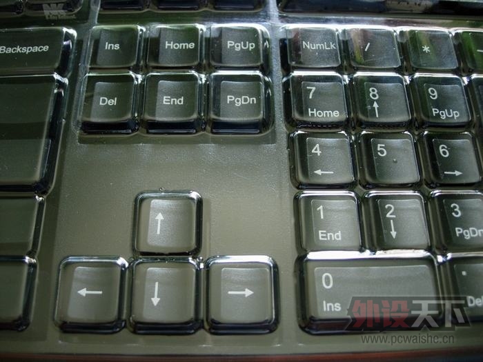 DSCN7896.JPG