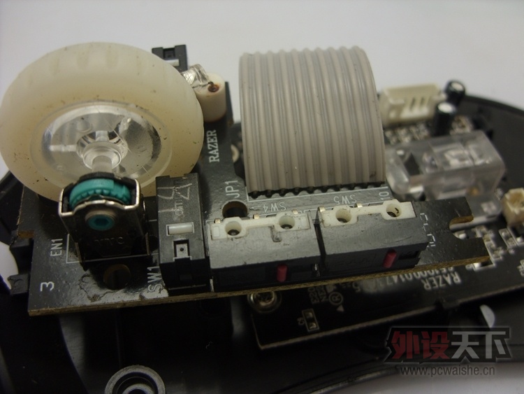 SDC12508.jpg