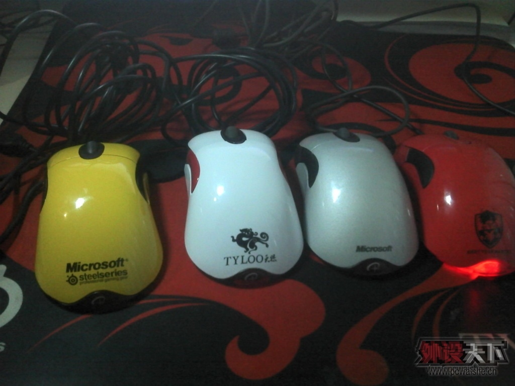 000448wm9v5mqeomvwlqlj.jpg