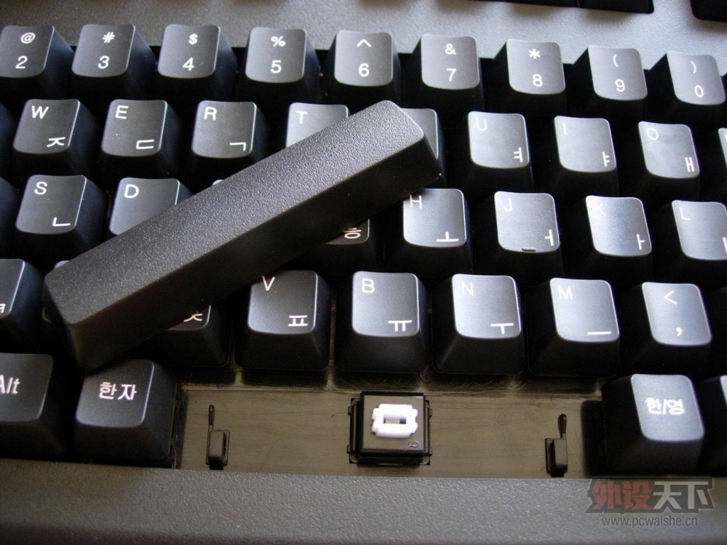 ��ԭ����99Ԫ������ALPS�ᡰ���ᡱ��е���̿������