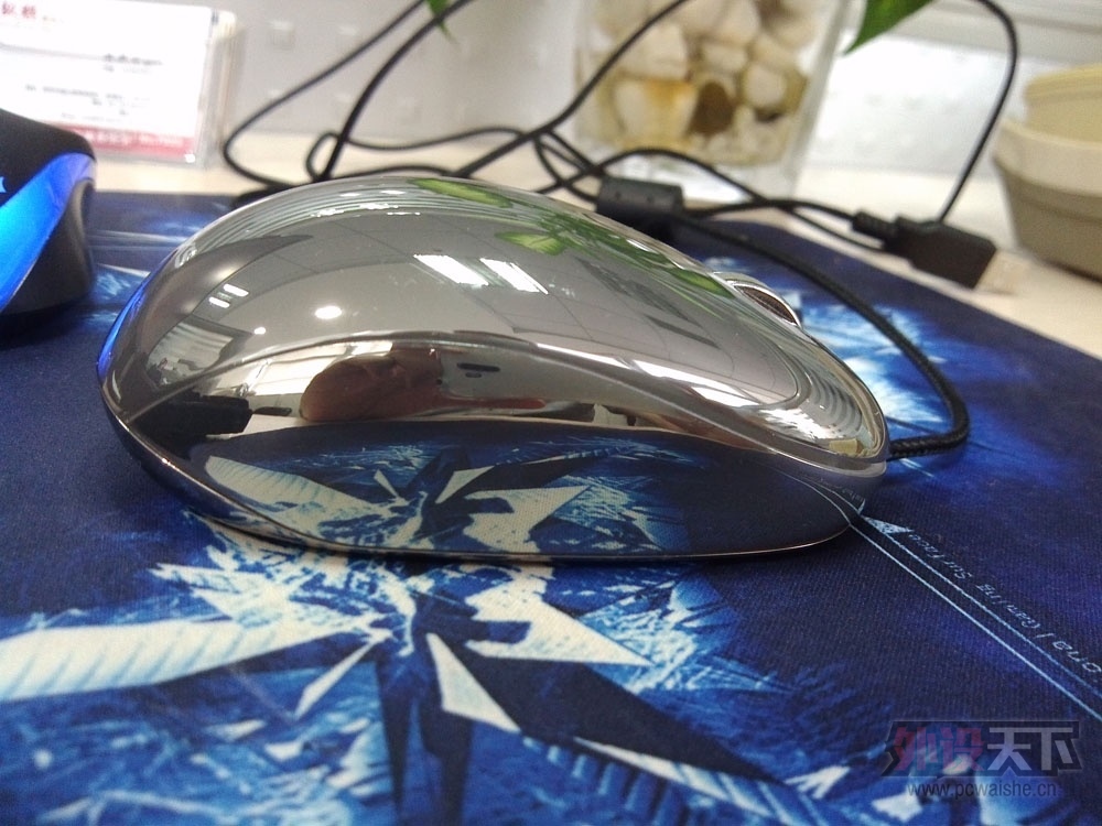 IMG_20130724_170521.jpg