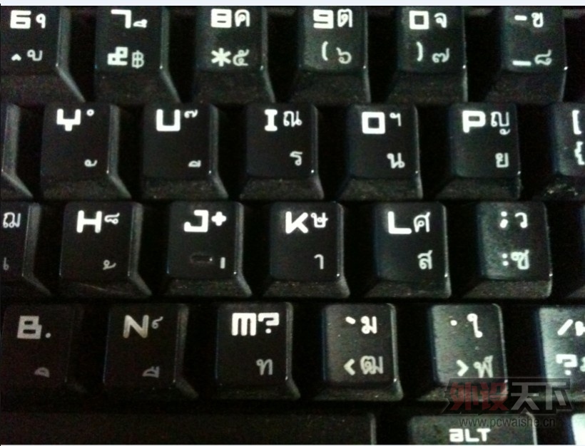5555555.jpg