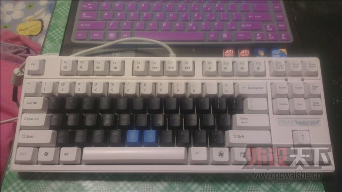 pr_IMAG0302.jpg