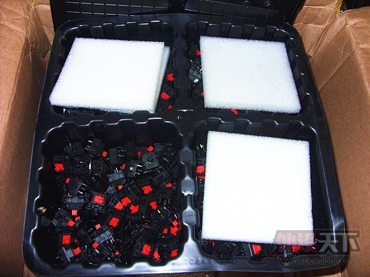 SDC12580_����.jpg