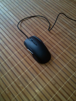 YP20130729132115989.jpg