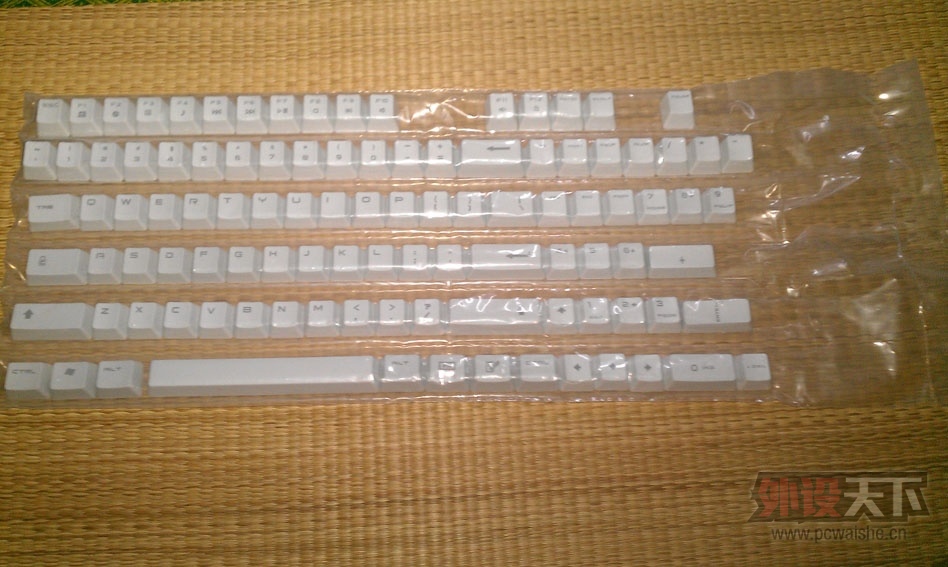 IMAG0069.jpg