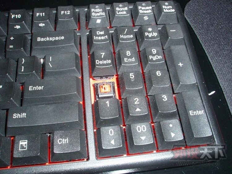 ����8.5����plum MX96���ᣬ��300