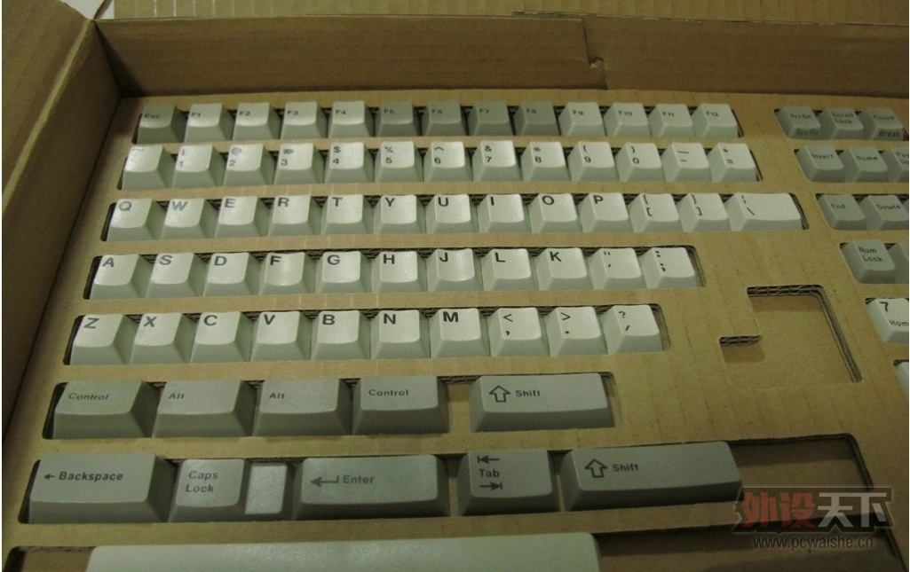 �� SP������RGB  ˮ��Ҷ�ɫ��ñ ���λ�ɫ������105