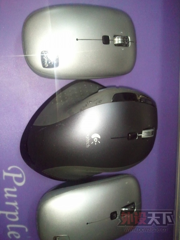 WP_000417.jpg