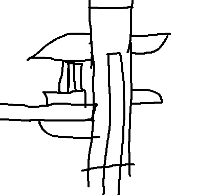 ֤ںᡢᴥ̣˭֤Ⱥᴥ̶̣