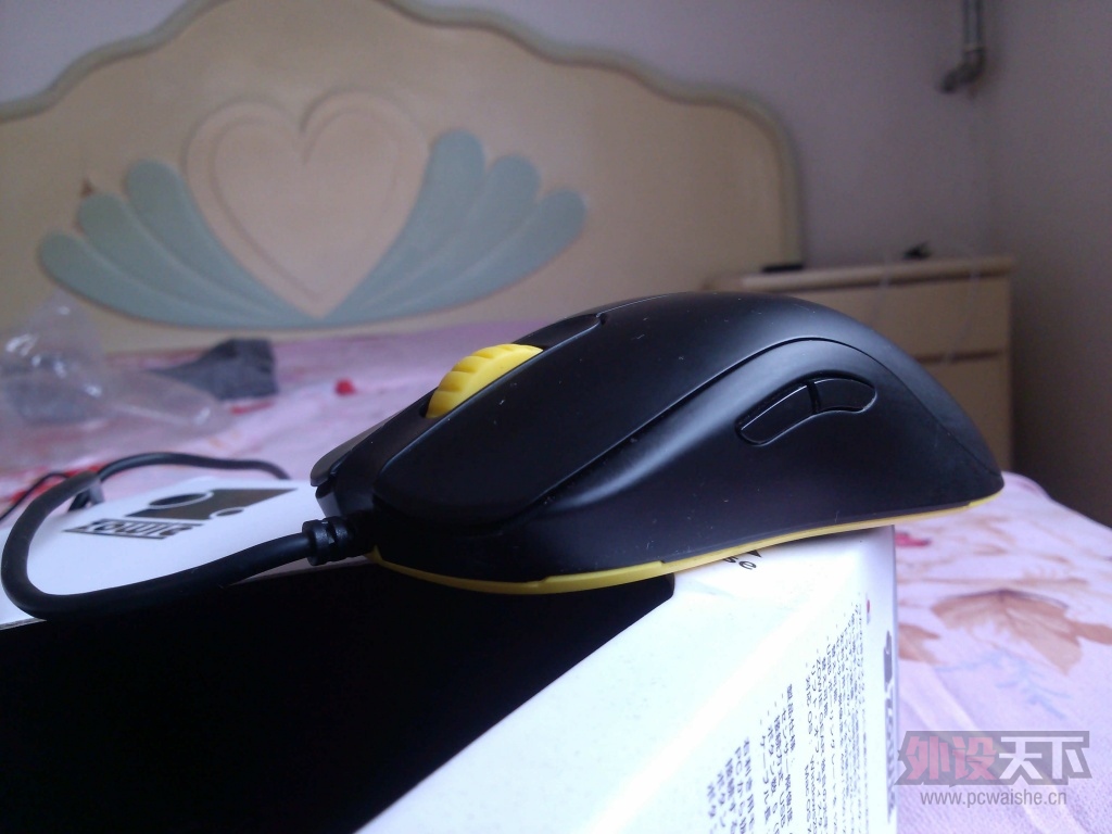 CAM00029.jpg